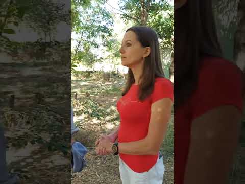 Видео: Подорож на пасіку