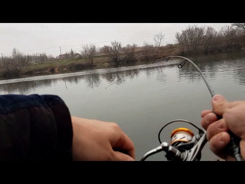 Видео: Раздача хорошего окуня на спиннинг Доюй black dragon 0.5 - 5. Ловлю на отводной поводок!