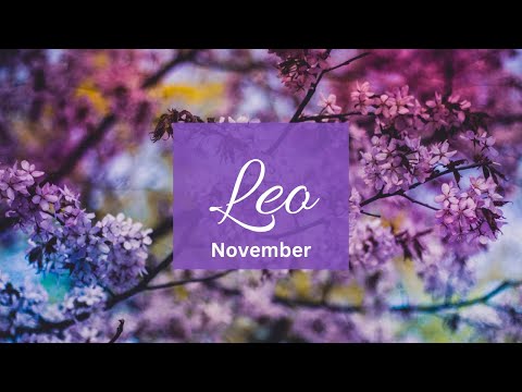 Видео: Лео❤️Ушли, сказав, что они не готовы, и теперь они не могут поверить, что вы их не ждете..