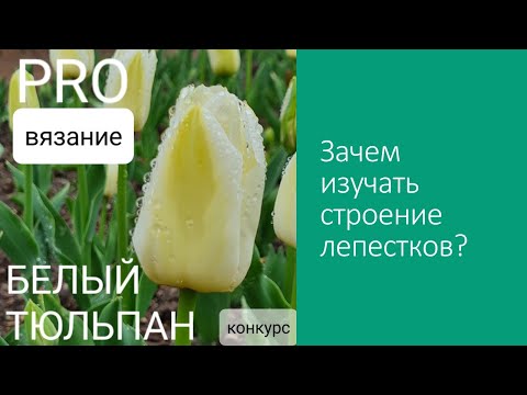 Видео: PRO  Вязание БЕЛЫЙ ТЮЛЬПАН