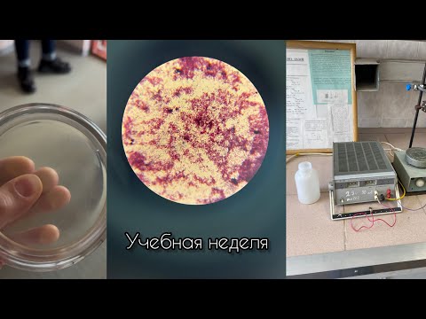 Видео: Vlog: Учебная неделя в РХТУ. Жизнь студента на 3 курсе.