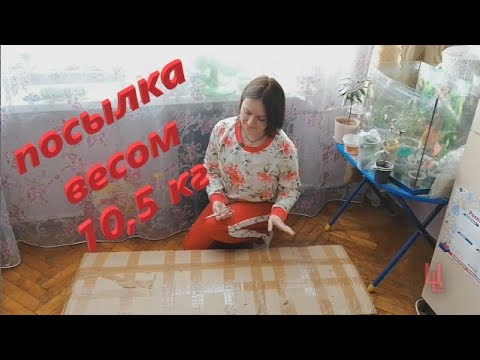 Видео: посылка №12 распаковка и сборка подставки для растений