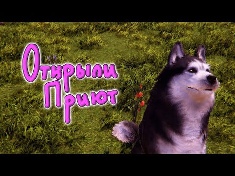 Видео: Первые питомцы, ремонт офиса и прогулки - Animal Shelter 2