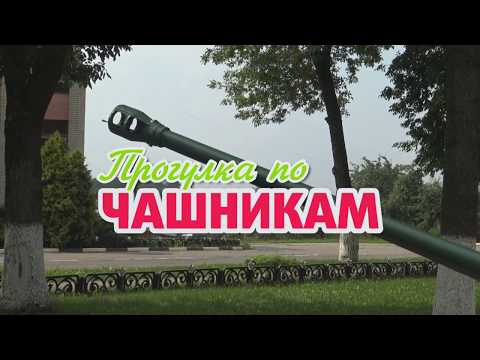 Видео: ПРОГУЛКА ПО ЧАШНИКАМ  1 СЕРИЯ