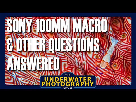 Видео: Ответы на ваши вопросы. Макрообъектив Sony 100 мм и многое другое