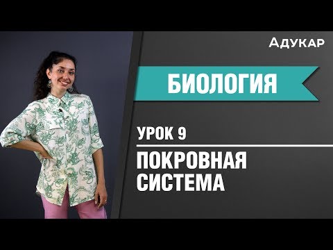 Видео: Покровная система человека| Биология ЦТ, ЕГЭ