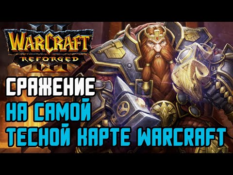 Видео: Сражение на самой тесной карте Warcraft: Moon (Ne) vs Sok (Hum) Warcraft 3 Reforged