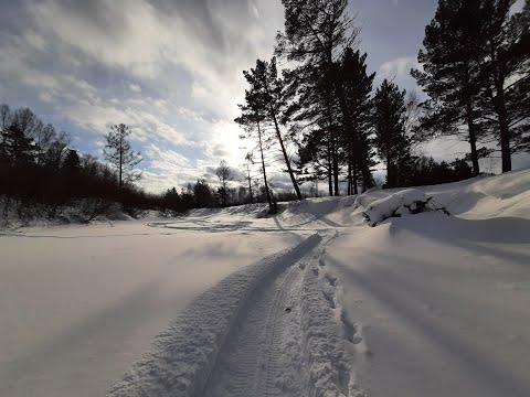 Видео: Малый кемчуг  Медведа  Февраль 2021