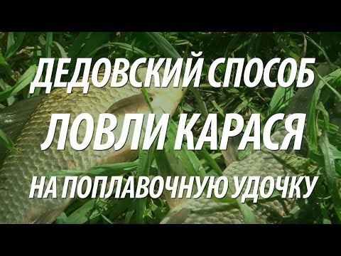 Видео: ЛОВЛЯ КАРАСЯ НА ПОПЛАВОЧНУЮ УДОЧКУ. КАРАСЕВАЯ РЫБАЛКА С ИВАНЫЧЕМ НА ХЛЕБ В ПОДМОСКОВЬЕ
