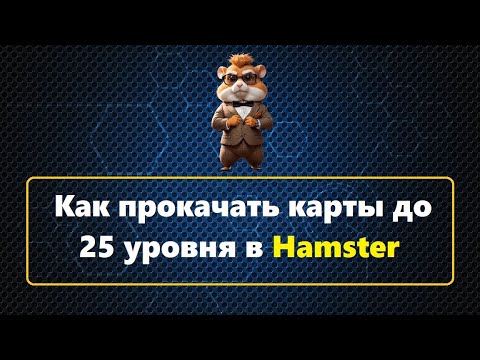 Видео: Как в Hamster Kombat прокачать карты до 25 уровня?