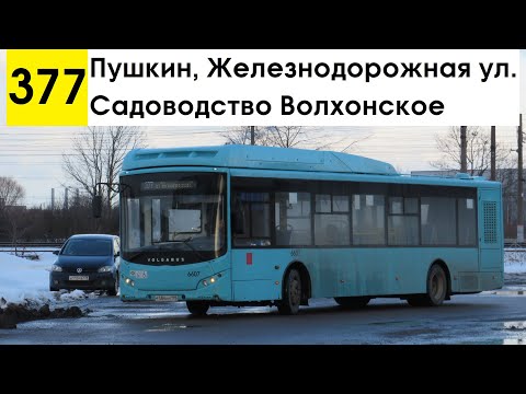 Видео: Автобус 377 "Пушкин, Железнодорожная ул. - садоводство "Волхонское" (старая трасса)