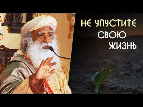 Видео: Живи здесь и сейчас ведь жизнь пройдет незаметно - Садхгуру на Русском