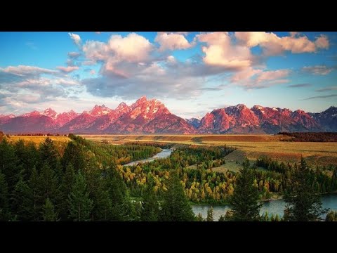 Видео: Факт №49