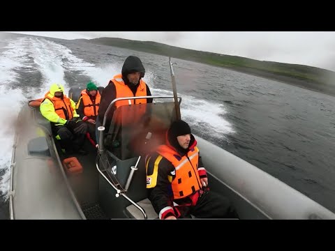 Видео: Путешествие на Китовый берег. День 6. Охота на китов