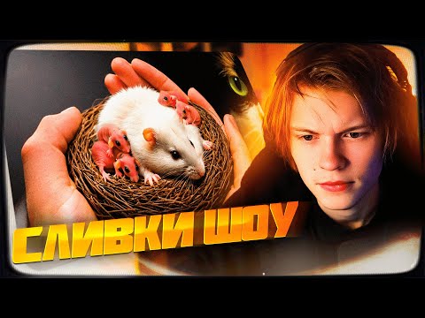 Видео: ДИПИНС СМОТРИТ: СТЕПА ЗАБЕРЕМЕННЕЛ И РОДИЛ ДЕТЕЙ 🤷‍♂️ | SlivkiShow