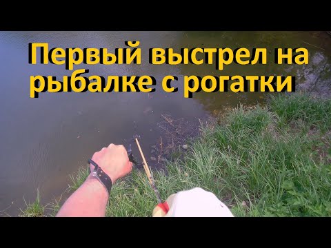 Видео: Рыбалка с рогаткой Гадюки на каждом шагу Первый выезд