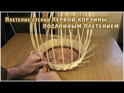 Видео: Плетение стенки ПЕРВОЙ КОРЗИНЫ. И с первого раза получится.