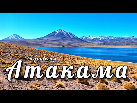 Видео: Жемчужина Чили! Пустыня Атакама! Самые популярные туры!