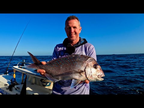 Видео: На рыбалку ради вкусной еды!