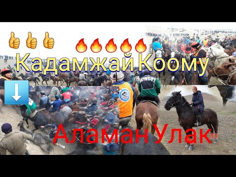 Видео: Кадамжай Коомунун Чон Аламан Улагы 20.02.21ж 1бөлүк👍🔥🔥👍