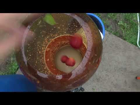 Видео: Лучшая дробилка и пресс для яблок