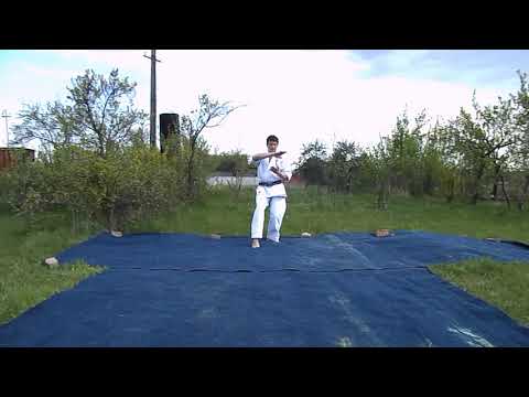 Видео: Изучаем ката, ч  15, Ката Сайха