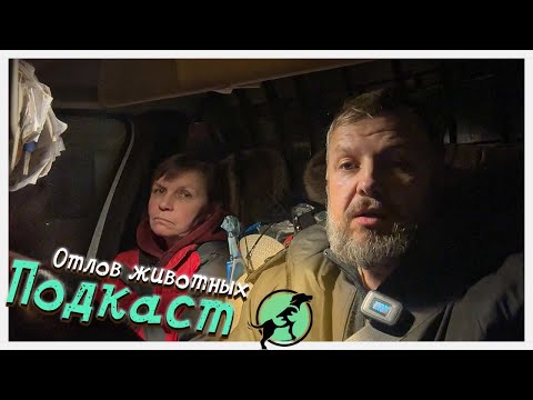 Видео: Рассказываем про отлов животных и делимся новостями приюта!