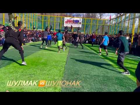Видео: ШУЛМАК 🆚ШУЛОНАК #sports #tajikstan #тикток #tajiki #birds #спорт #nature 29 января 2025 г.