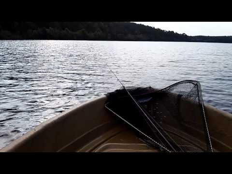 Видео: Тохатцу 5л.с. Лодка Стелс 315.