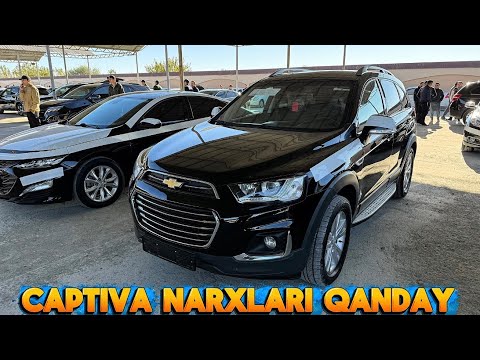 Видео: Хоразмда КАПТИВА Нархлари Шок! Насия Ҳам Бор | Жонли Савдо Кўрсатуви | БЕК ТВ