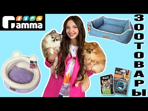 Видео: Большая посылка с зоотоварами фирмы Гамма🐶 Новые лежанки, одежда и другое📦 #зоотовары
