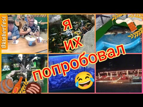 Видео: Лазаревское🐬 Попробовал УСТРИЦЫ🦪 Крокодиловая ферма