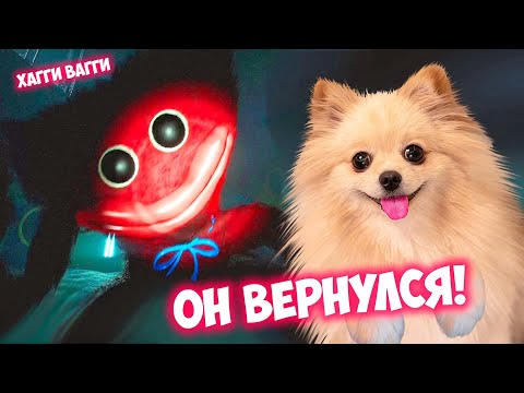Видео: ХАГГИ ВАГГИ ВЕРНУЛСЯ ! РАЗНОЦВЕТНЫЕ ХАГГИ ВАГГИ |  POPPY PLAYTIME CHAPTER 2
