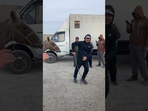 Видео: Туркестан Мал Базар Жылкы Тай Бие Айғыр Байтал 26.10.2025