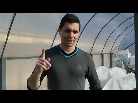 Видео: Інжир у лютому, обрізка і надійний спосіб укорінення.