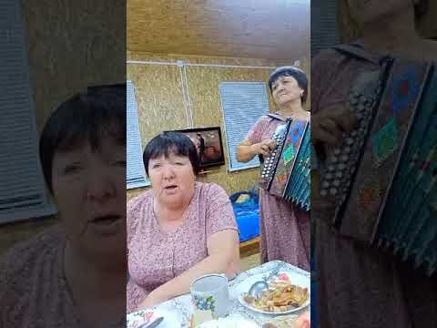 Видео: 12 ноября 2024 г.