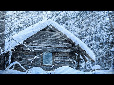 Видео: НОЧЬ В СИЛЬНУЮ МЕТЕЛЬ В МАЛЕНЬКОЙ ИЗБУШКЕ. ЯСТРЕБ АТАКОВАЛ ТЕТЕРЕВА