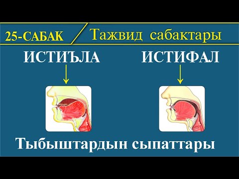 Видео: Тажвид сабактары: ИСТИЪЛА жана ИСТИФАЛ І 25-сабак: Тыбыштардын сыпаттары