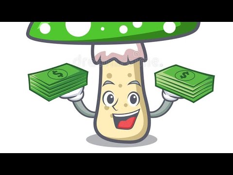 Видео: Как продать шампиньоны? А так же сбор и хранение.