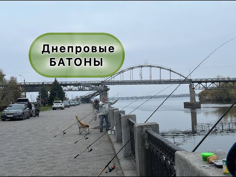 Видео: ПОШЛА ПЛОТВА НА ДНЕПРЕ. СЕЗОН БАТОНОВ. РЫБАЛКА НА ПЛОТВУ 2025