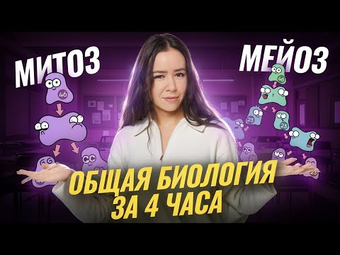 Видео: ОБЩАЯ БИОЛОГИЯ ЕГЭ за 4 ЧАСА | Митоз и мейоз с нуля для ЕГЭ по биологии 2026 | Умскул