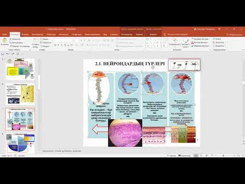 Видео: Гистология. Нерв тіні.  110 топ. Жалпы медицина.17.04.2020. Марат Оспанов атындағы БҚМУ.