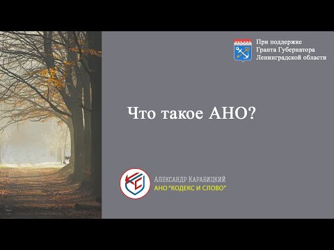 Видео: Выпуск 2. Что такое АНО.