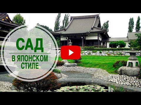 Видео: Как организовать сад в японском стиле в средней полосе? 🌟 Советы эксперта hitsadTV