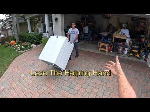 Видео: Успех Дня Горба