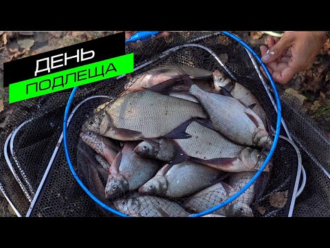 Видео: ЛОВЛЯ ЛЕЩА / РЫБАЛКА НА ФИДЕР / FROS FISHING