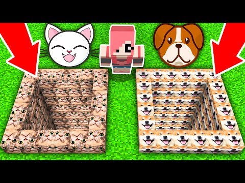 Видео: КАКУЮ ЯМУ Я ВЫБЕРУ В МАЙНКРАФТ? МИР КОШЕК ИЛИ СОБАК