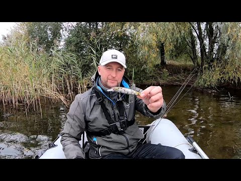 Видео: Когда плохой КЛЁВ ЩУКИ ставьте ЭТОТ ВОБЛЕР. Щука на воблер.  Твичинг крупных воблеров. BEARKING