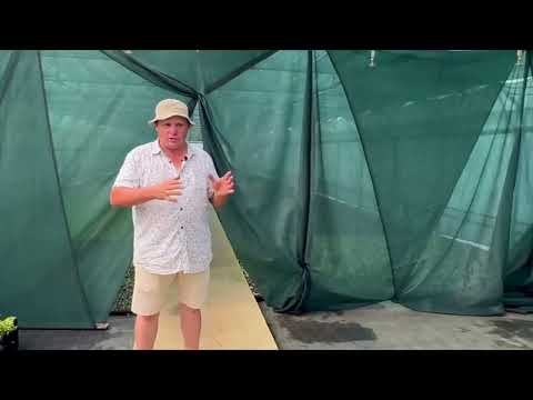 Видео: Реалити-шоу «Будни начинающего питомниковода» – Обзор теплиц в питомнике. Часть 15.