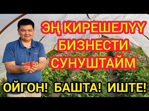 Видео: КУЛПУНАЙ бизнеси ЭҢ КИРЕШЕЛҮҮ болот  |  Кыргызстанда да БАШТАЛДЫ